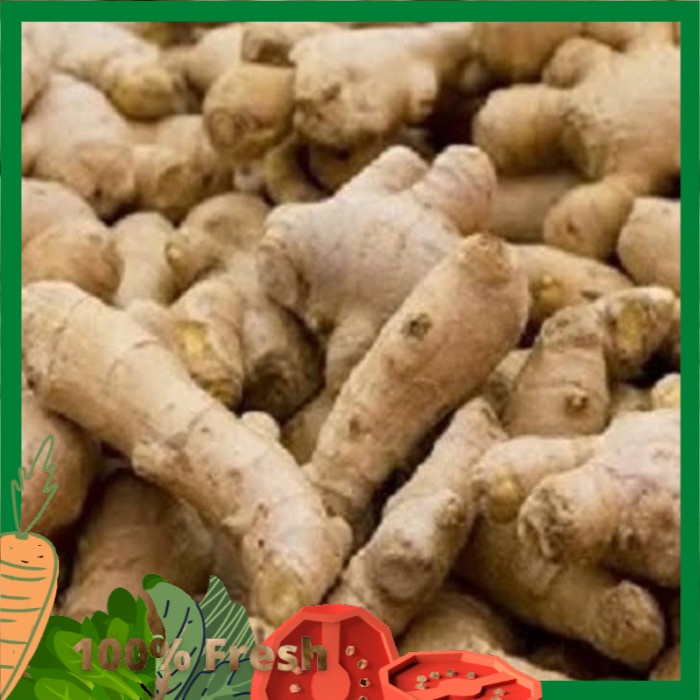 

Jahe Emprit Segar 500 Gram