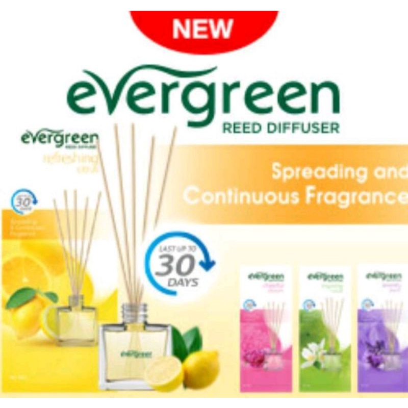 Evergreen Reed Diffuser 30ml-1