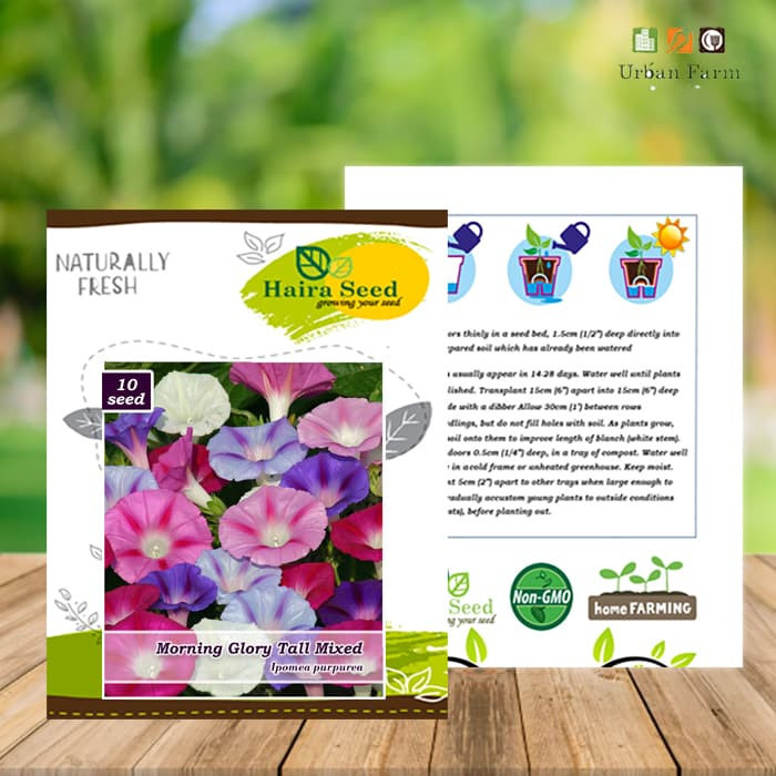 Haira Seed BIbit-Biji Bunga Morning Glory Tall Mix