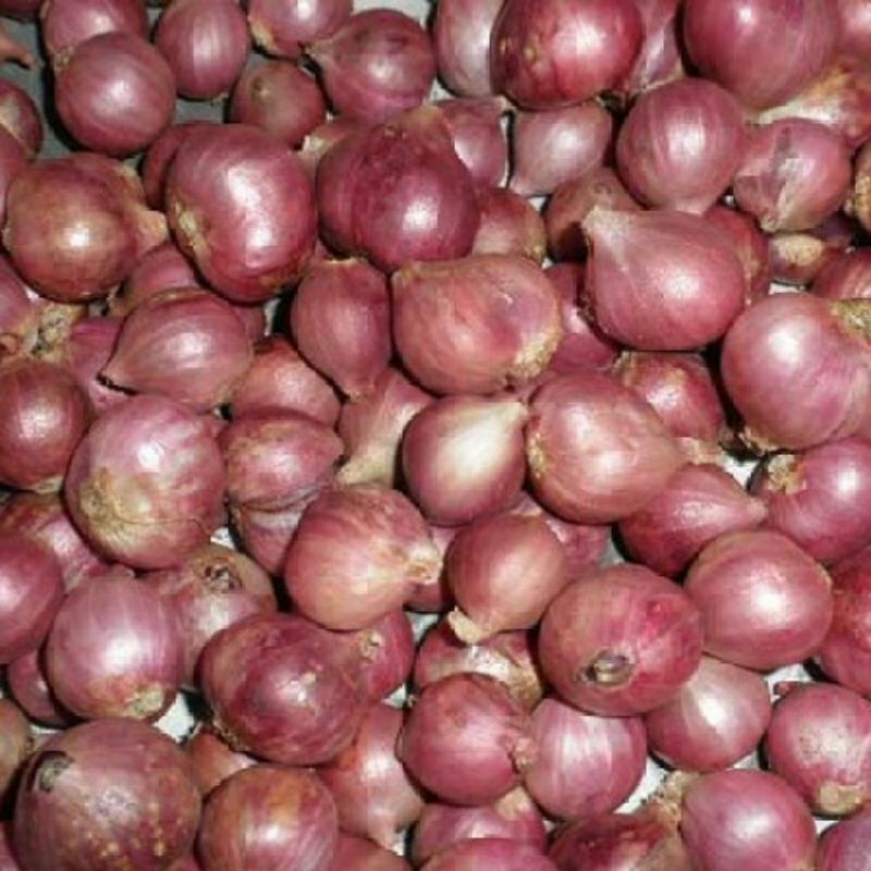 

Bawang merah lokal kemasan 250gr