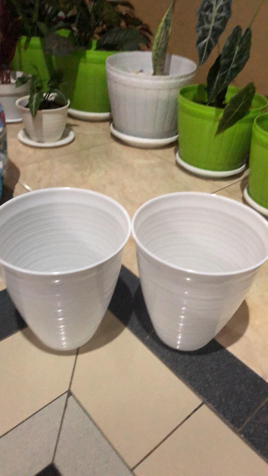 Pot madu 25 pot motif tawon pagoda 25 Shopee Indonesia Pot madu 25 pot motif tawon pagoda 25 Shopee Indonesia