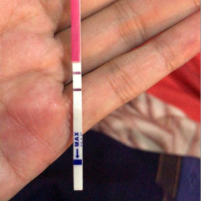 Tes Masa Subur - Ovulation LH Test Strip