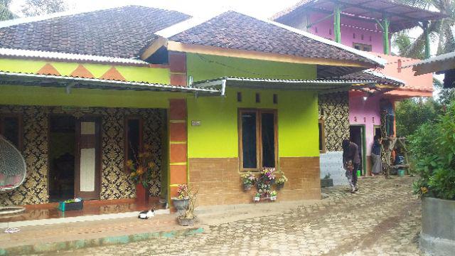 Wallpaper Vinyl Bertekstur, Timbul Dan Tebal - C237