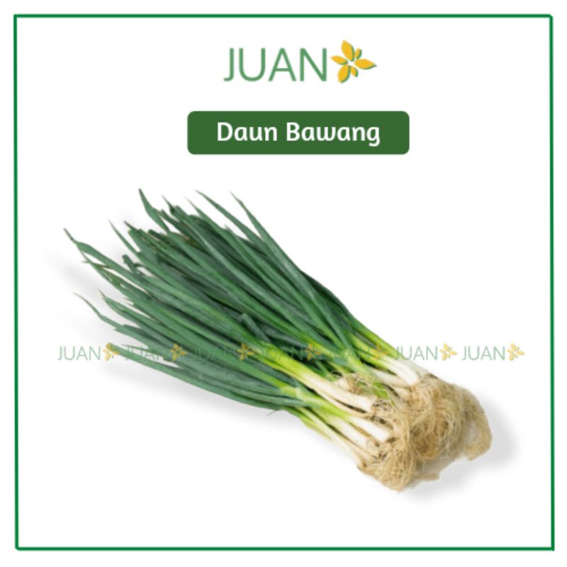 

Daun Bawang - Juan Freshmart