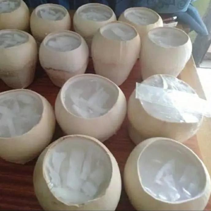 

puding kelapa muda TERLARIS TERPERCAYA ORIGINAL