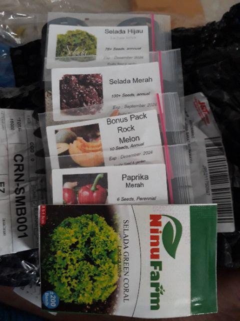 Benih Biji Selada Merah Red Lettuce