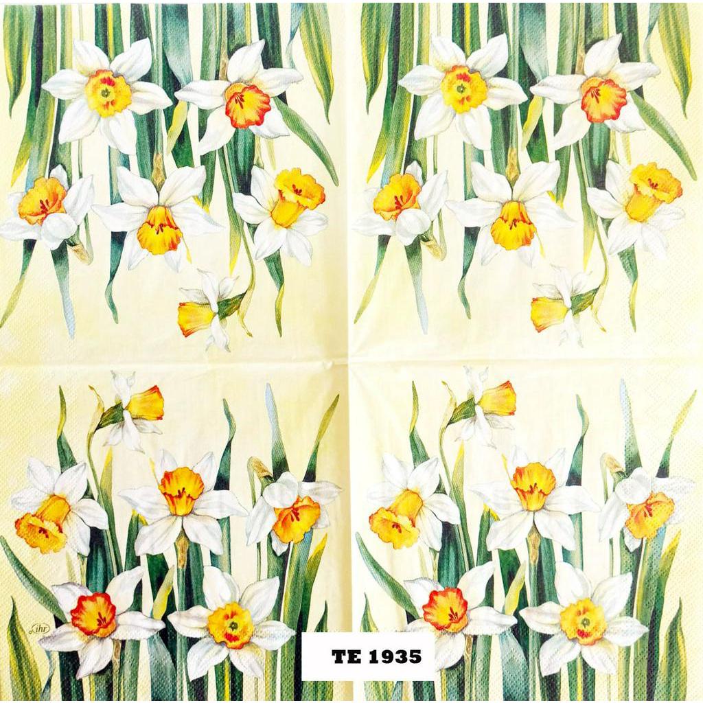 TISU NAPKIN DECOUPAGE EROPAH 33X33 CM TE 1935 TTS