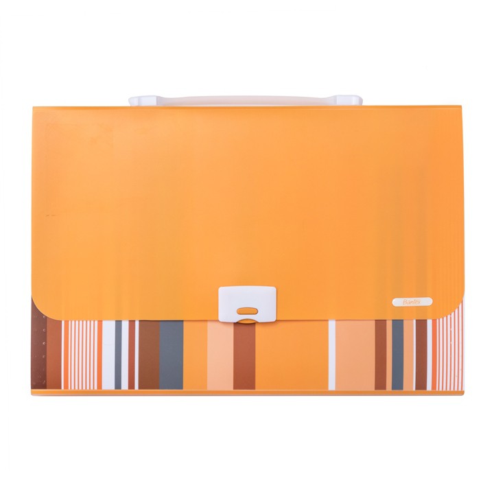 

[Zada] Bantex Fancy Stripes Expanding File (13 Pocket) Folio Yellow 3608 06