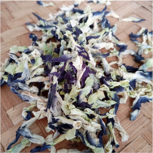 Bunga Telang Organik Kering 10gr / butterfly pea fresh murah termurah / bunga telang kering termurah / bunga telang murah / supplier bunga telang / teh bunga telang