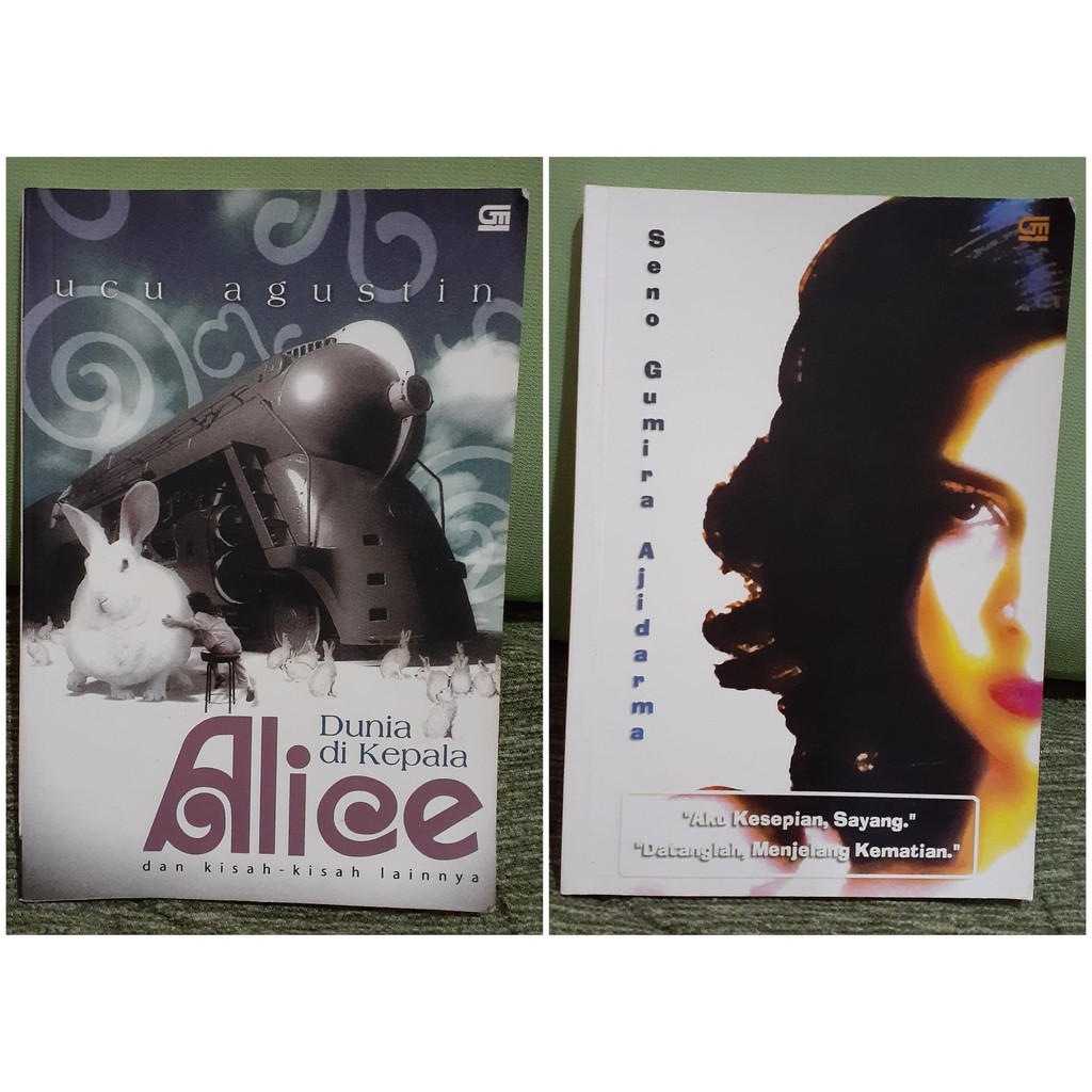 Preloved Novel / Bekas - Dunia di Kepala Alice (Ucu Agustin), Aku Kesepian Sayang Datanglah Menjelan