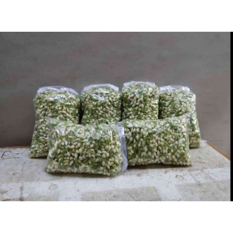 bunga melati segar 2000 gram flower jasmine original fresh