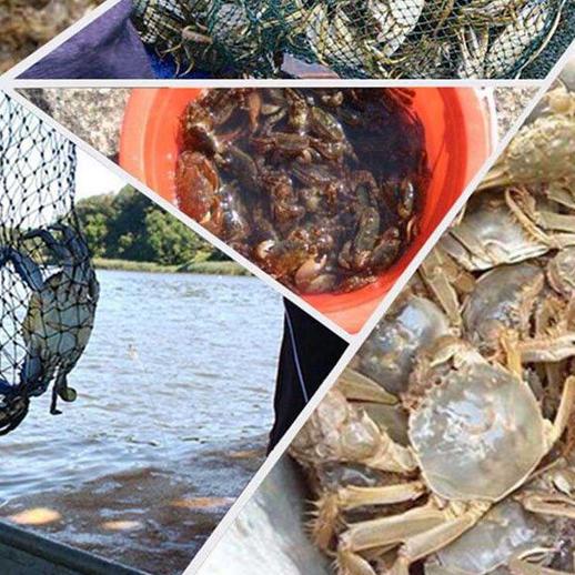 ➯ Jebakan Ikan 20 lubang Jaring Ikan Bubu Ikan Perangkap Ikan udang ✿