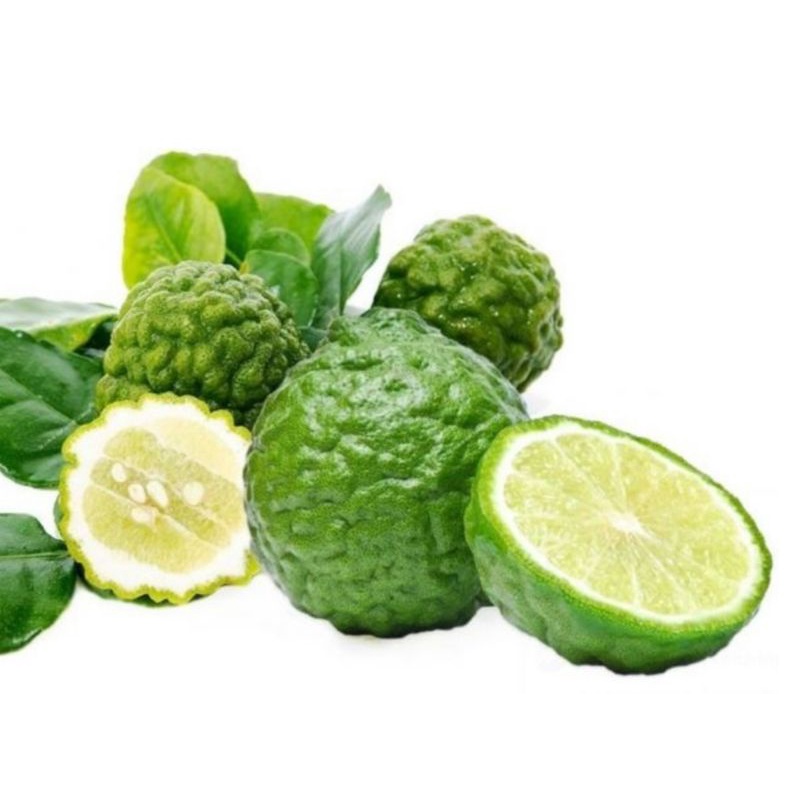 Jeruk Purut Besar Segar Berkhasiat