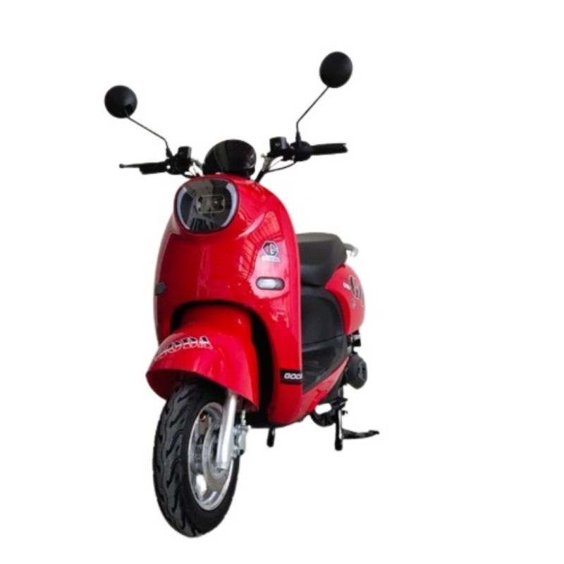 Motor Listrik Motrik Goda Scoopy Golden Turtle Electric Bike Ready Stock