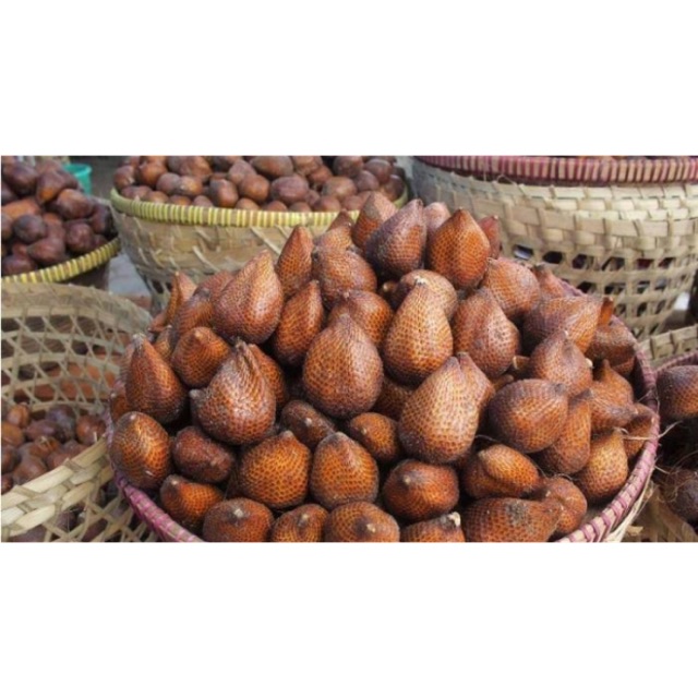 

Salak Fresh