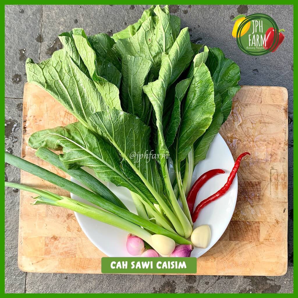 

Sayur Cah Caisim (4-5 pax) , Paket Siap Masak Tumis , Ready to Cook