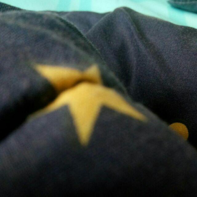 Benih Biji Kurma Tropis Hibrida Thailand Kl-1 Original Bersertifikat