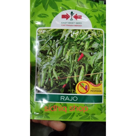 benih cabe rawit rajo 2250 butir