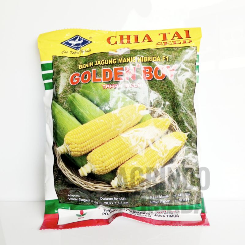 Benih Jagung Manis Golden Boy 250 gram