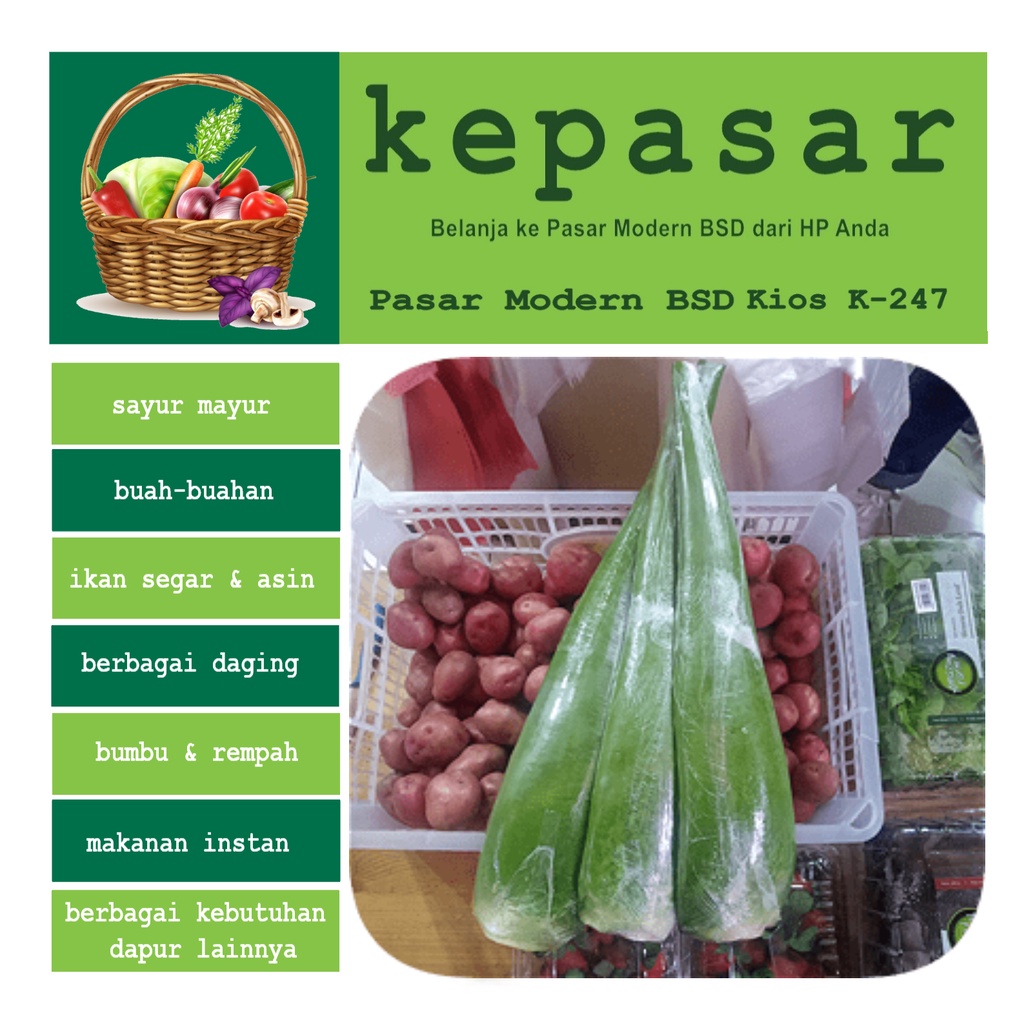 

Lidah Buaya besar 1 buah