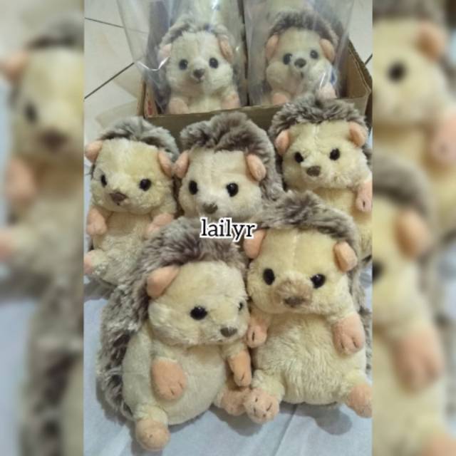 Sunlemon Mini Hedgehog