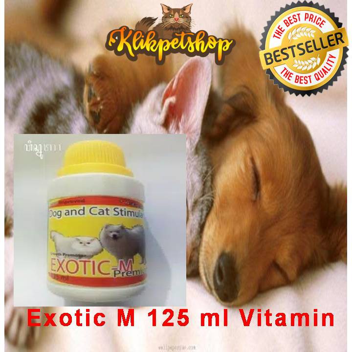 Exotic m 125 ml vitamin anjing kucing penambah nafsu makan