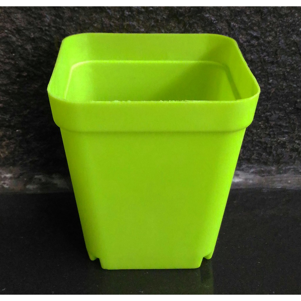 Terlaris Mini Pot Succulent Hijau Grosir