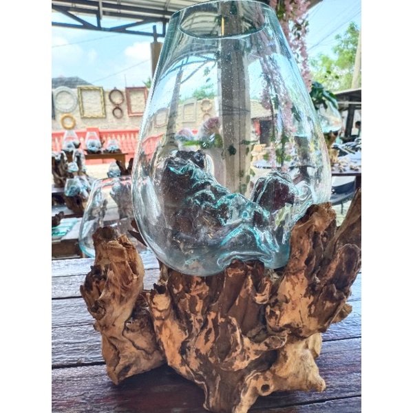 Aquarium cupang/Aquarium hias dan unik/Glass On Wood Jumbo 30Cm