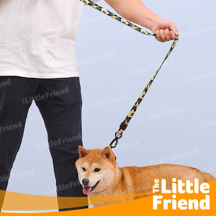 Tali Tuntun Jalan Leash Anjing Panjang Kuat FLAT ROPE 120cm MULTICOLOR