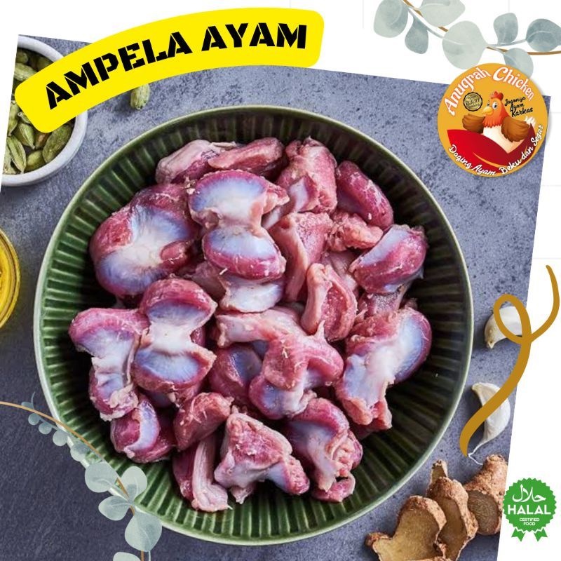 

Ampela Ayam Bersih | Rampela Ayam Bersih | Ampela 1 Kg