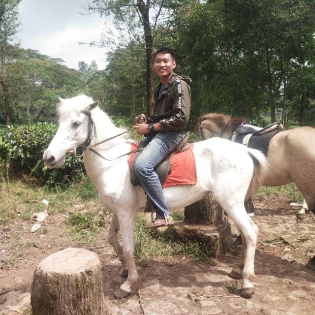 paizalmerdijaya