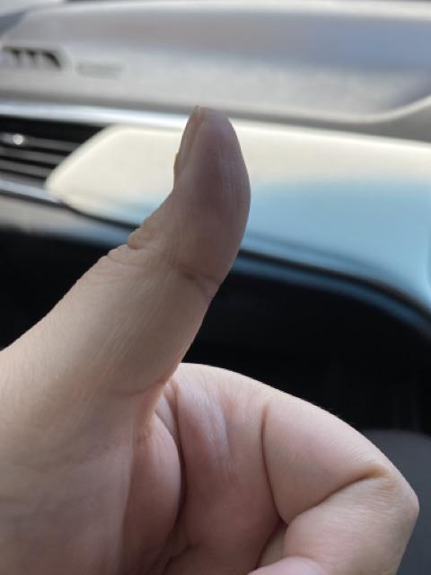 Hogasan Cairan Anti Serangga Insektisida Pest