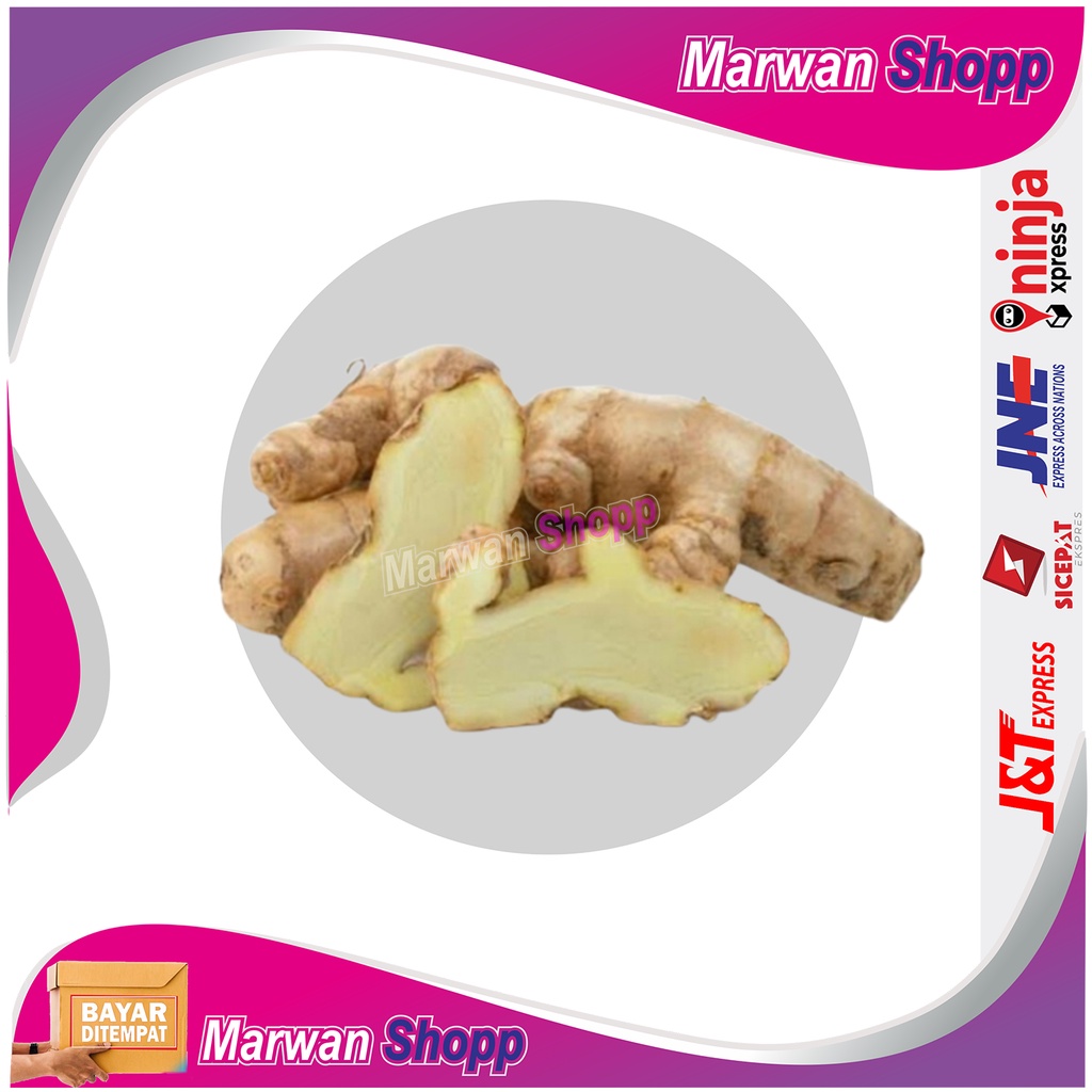 

TEMU KUNYIT PUTIH SEGAR 500 GRAM CURCUMA ZEDOARIA KUNIR PUTIH MARWAN SHOPP