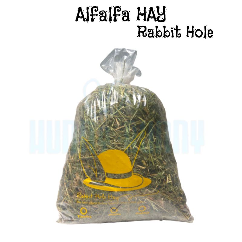 Alfalfa Hay Rumput Pakan kelinci