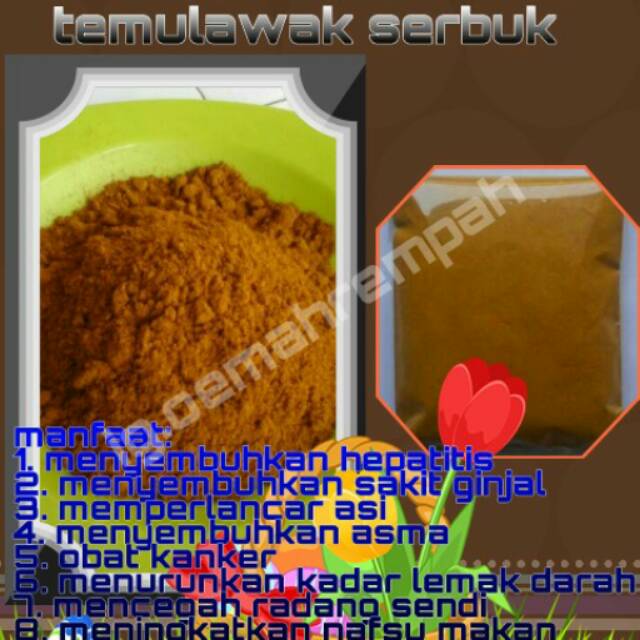

Temulawak serbuk