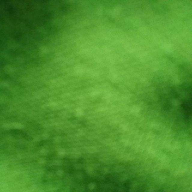 [indra Houseware]set Toples Plastik Isi 9pcs Smk 441 Hijau/ Wadah Saji