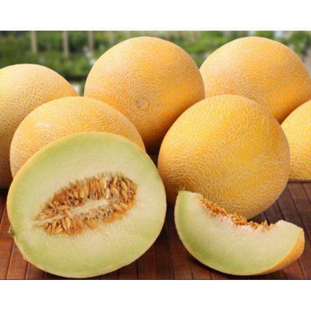 

Melon