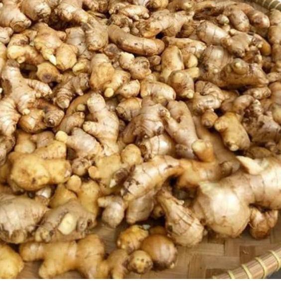 

^vx-4 Gudang Sayur Segar Jahe Emprit Segar 1000 Gram - Jahe Emprit 1 kilo *