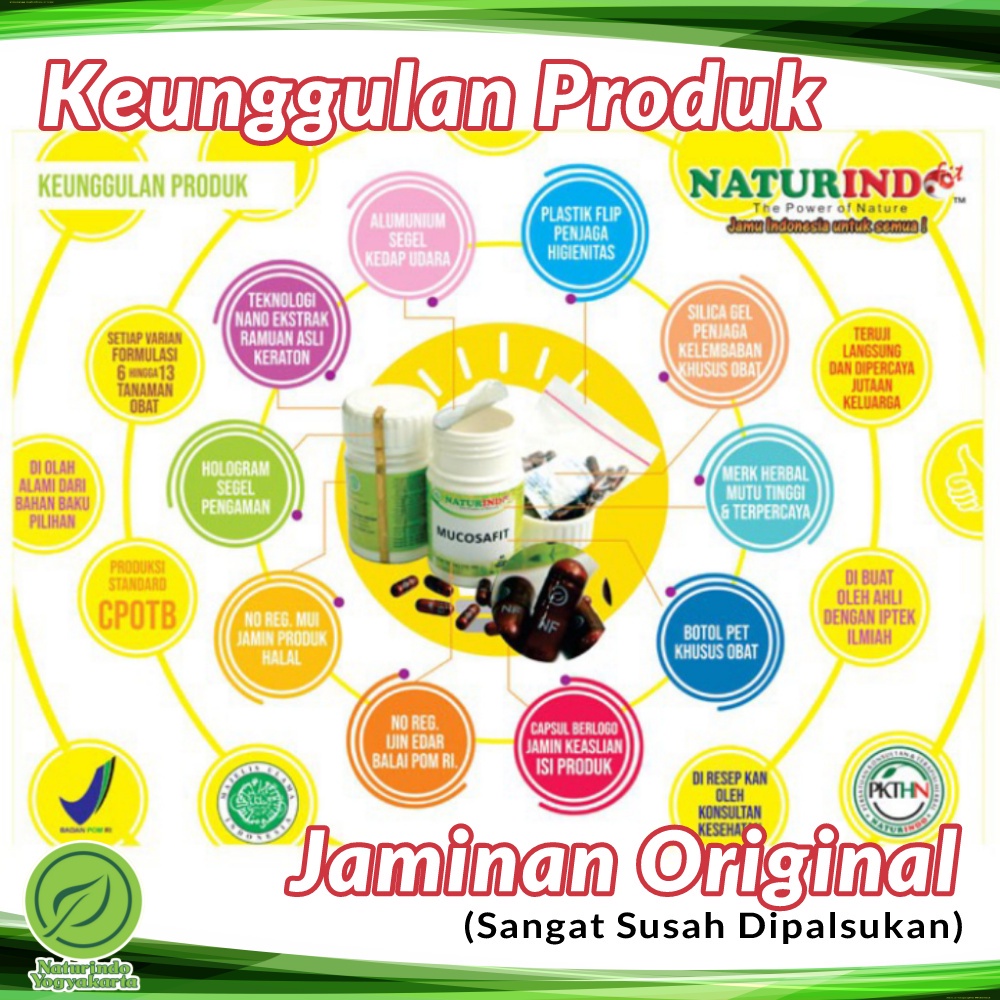 Obat Asam Lambung Maag Kronis Begah Sendawa Obat Herbal Sakit Maag Obat Asam Lambung Maag Kronis Obat Lambung Ampuh BPOM MUI Herbal MUCOSAFIT Naturindo Yogyakarta Jamu Tradisional Alami Terdaftar BPOM bisa COD Isi 40 Kapsul-7