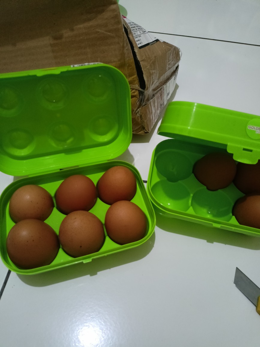 Tempat Telur Isi 6 Golden Sunkist