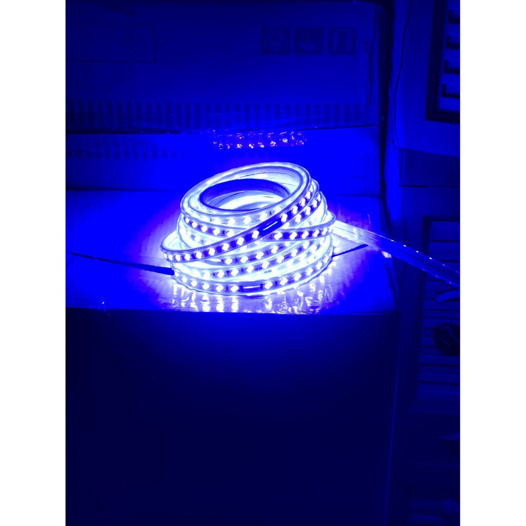 LAMPU LED STRIP 220v 1roll 10meter