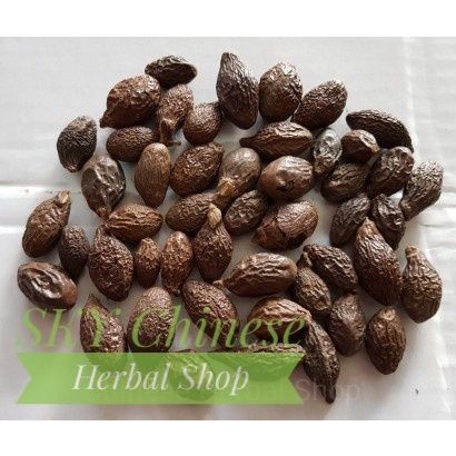 

(1 KG) Kacang Malva / Buah Tempayang / Tempoyan / Semangkuk /BengTaHai