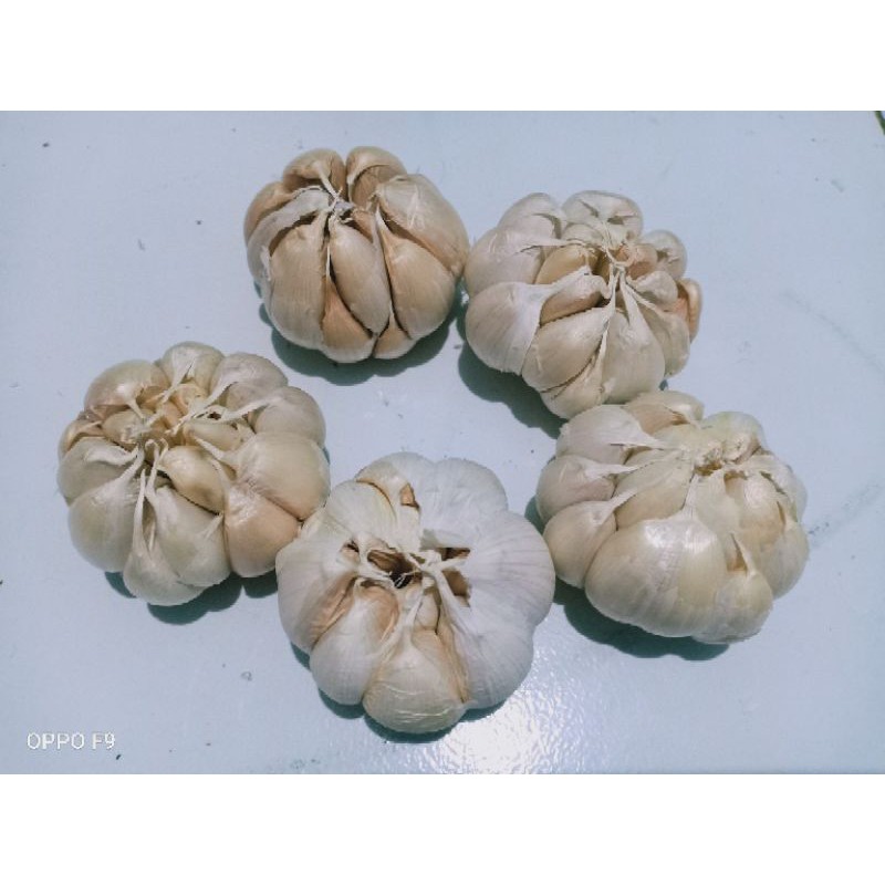 

BAWANG PUTIH KEMASAN 1KG KWALITAS SUPER
