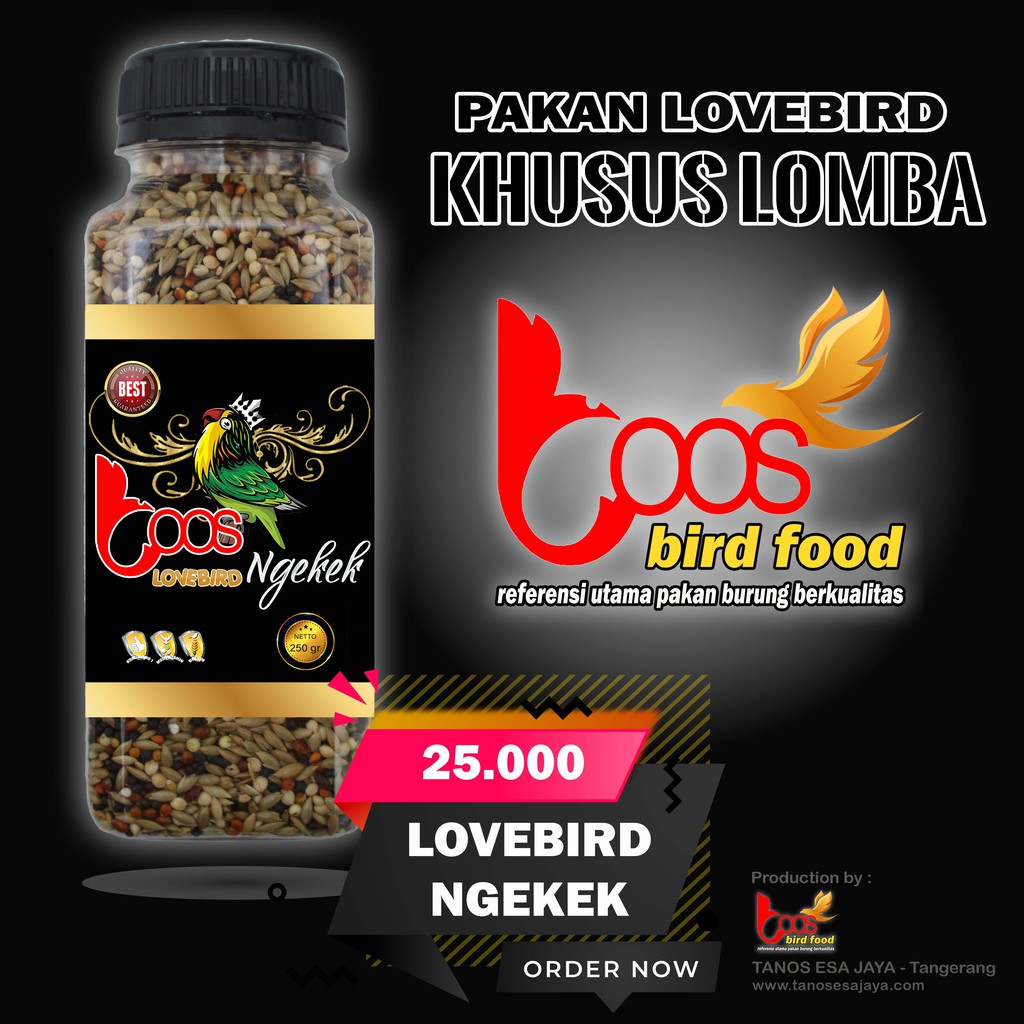 PAKAN LOMBA LOVEBIRD