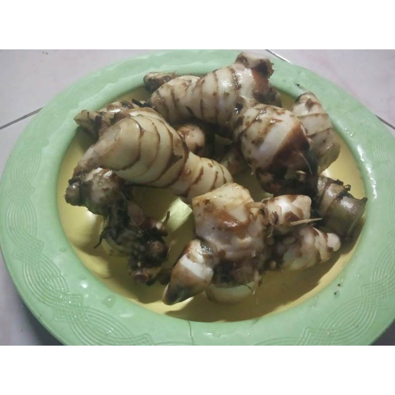 umbi ganyong putih segar 1000gr