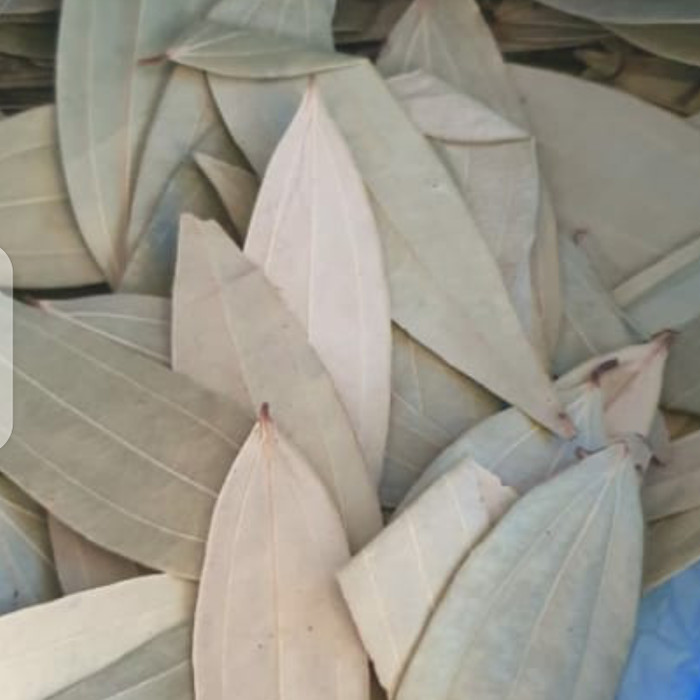 

Promo Spesial - Daun Salam India Bay Leaves 1 Kg