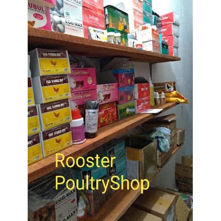 SHAMPO KUCING RAINBOW