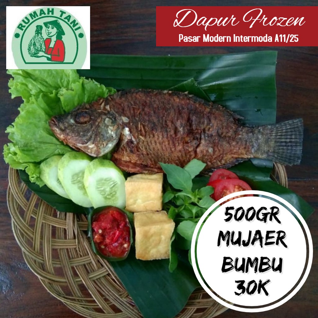 

Mujaer Bumbu 500gr Frozen