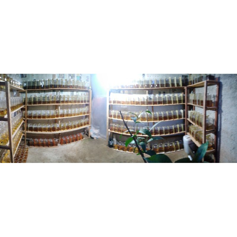 CUPANG PLAKAT SUPER RED, SUPER BLACK, YELLOW BANANA, SOFT GOLD, BAHAN MULTY & WHITE PLATINUM