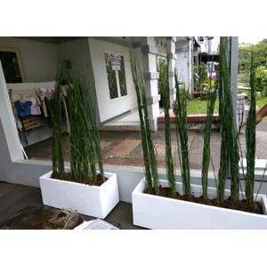 Jual Pot Unik Terrazo Marmer Model Kotak Untuk Tanaman Shopee Indonesia